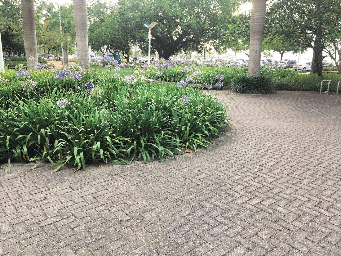 Foto sobre Associação Amigos da Praça