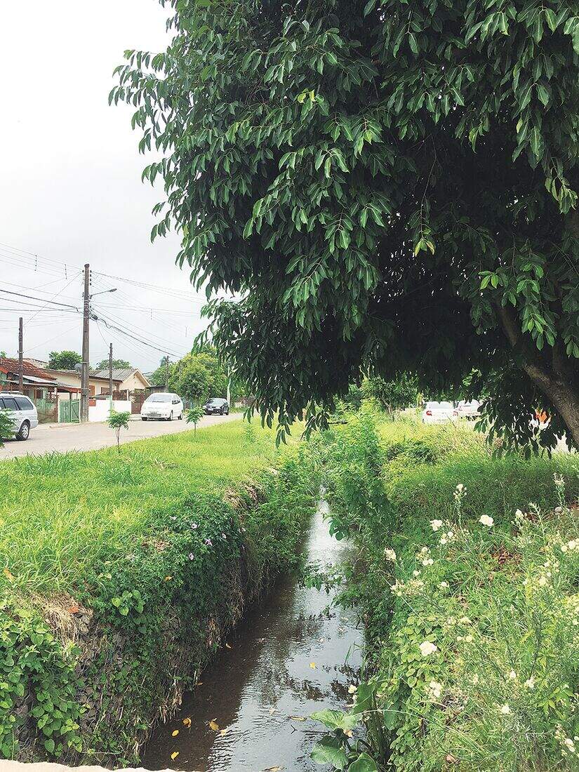 Foto sobre Bairro Parque Pinheiro Machado